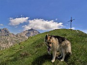 49 Dori ormai alla croce di vetta del Vindiolo